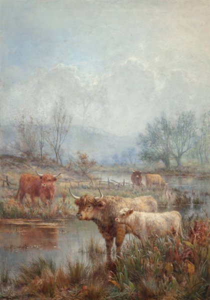 Main Product Photo of A misty morning, Scotch cattle Painting by Louis Bosworth Hurt