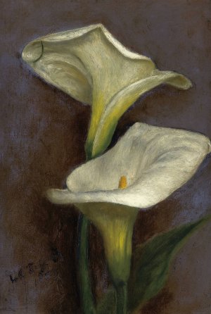 Calla Lilies by Louis Comfort Tiffany Oil Painting