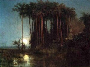 Moonlight Over a Marsh in Ecuador by Louis Remy Mignot Oil Painting