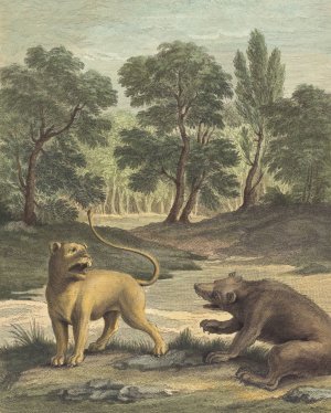 La lionne et l'ours by Louis-Simon Lempereur Oil Painting
