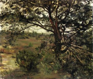Luneberger Heide Oil painting by Lovis Corinth