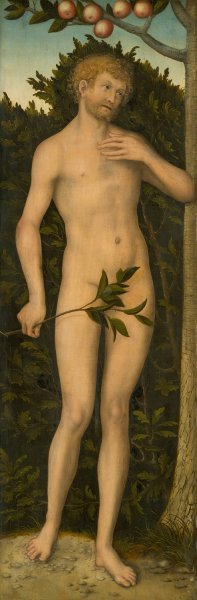 Adam by Lucas Cranach The Elder Oil Painting