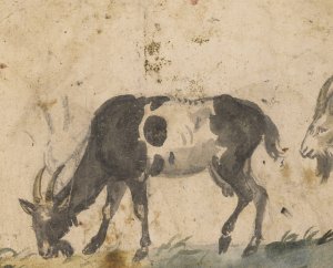 Study of Goats by Lucas Cranach The Elder Oil Painting