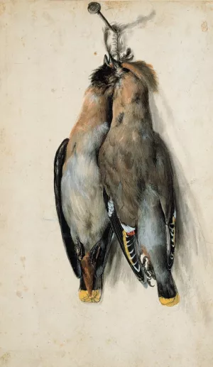Two Dead Bohemian Waxwings by Lucas Cranach The Elder Oil Painting