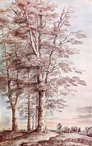 Landscape with Tall Trees