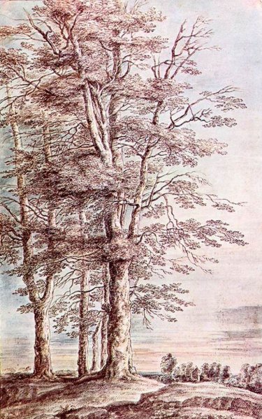 Main Product Photo of Landscape with Tall Trees Painting by Lucas Van Uden