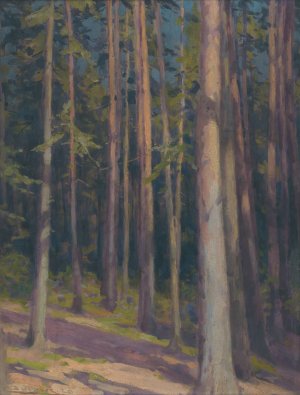 Fir forest by Ludovit Cordak Oil Painting