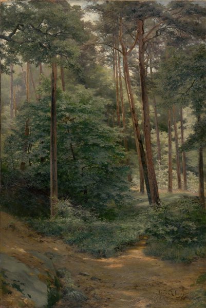 Forest  by Ludovit Cordak - Hand-Painted Oil Painting Reproduction