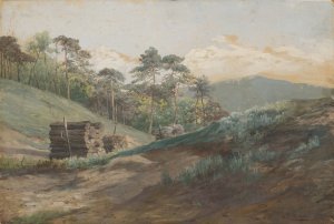 Forest Valley with Wood Logs by Ludovit Cordak Oil Painting