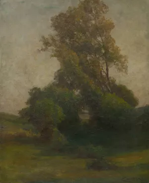 Tree in the countryside Oil painting by Ludovit Cordak