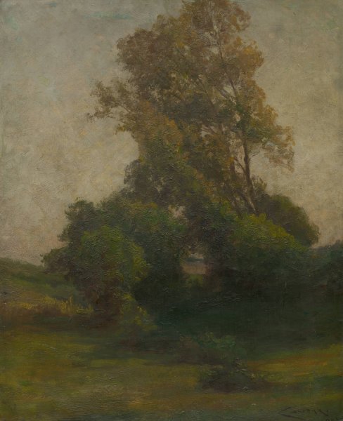 Tree in the countryside  by Ludovit Cordak - Hand-Painted Oil Painting Reproduction