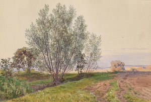 Feld und Bachrand by Ludwig Hans Fischer Oil Painting