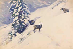 Gemsen im Schnee by Ludwig Hohlwein Oil Painting