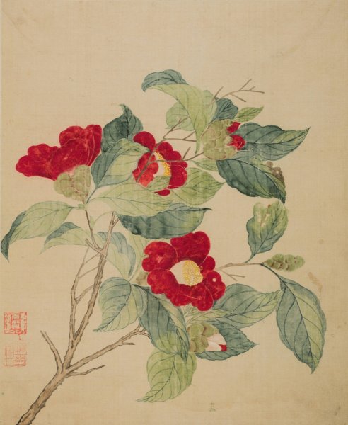 Main Product Photo of Camellias  Painting by Ma Yuanyu