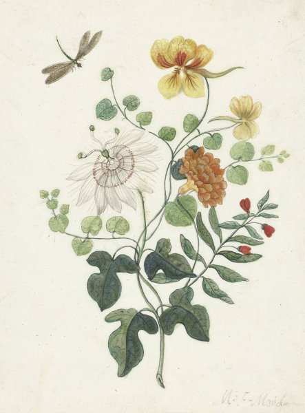Main Product Photo of Stilleven met bloemen  Painting by Machtelt Moninckx