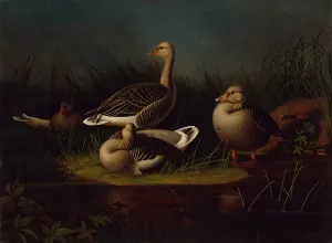 Greylag Geese, Copy After Ferdinand Von Wright by Magnus Von Wright Oil Painting