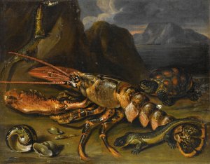 Still Life With Lobster, Lizards And Turtle by Marco De Caro Oil Painting
