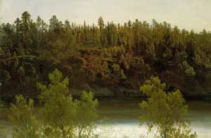 Swedish Lake. Study by Marcus Larson Oil Painting