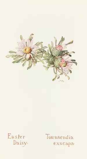 Easter Daisy by Margaret Armstrong Oil Painting