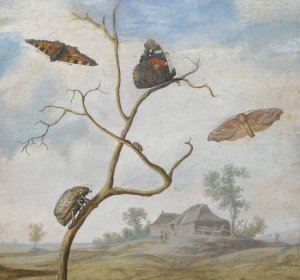 A Cockchafer On A Branch, Two Butterflies, A Moth And A Small Beetle Above, And A Landscape Behind by Margareta De Heer Oil Painting