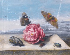 Still Life With Insects Around A Rose On A Stone Ledge by Margareta De Heer Oil Painting