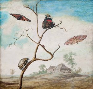Stilleben med landskap by Margareta De Heer Oil Painting