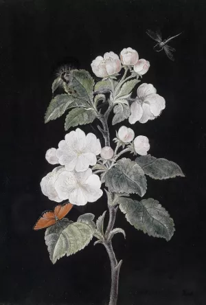Apfelbluten by Margaretha Barbara Dietzsch Oil Painting