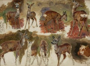 Studies of does by Maria Klass-Kazanowska Oil Painting