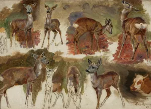 Studies of does by Maria Klass-Kazanowska Oil Painting