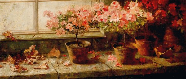 Main Product Photo of Flowering Azaleas Painting by Marie Egner