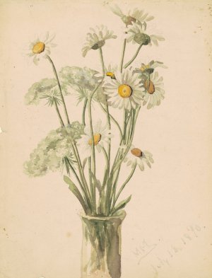 Daisies and Queen Ann's Lace by Marietta Minnigerode Andrews Oil Painting