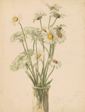 Daisies and Queen Ann's Lace by Marietta Minnigerode Andrews Oil Painting