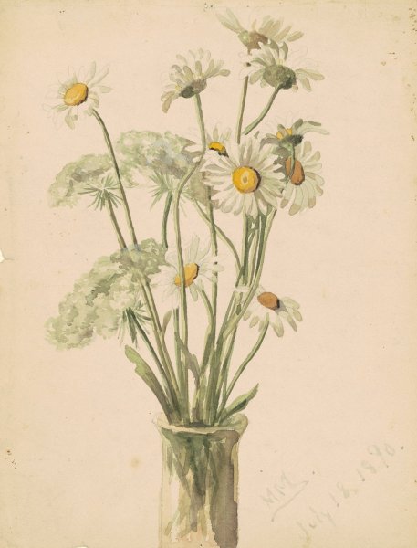 Daisies and Queen Ann's Lace  by Marietta Minnigerode Andrews - Hand-Painted Oil Painting Reproduction