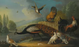 A still life with a peacock, pigeons and chickens in a river landscape by Marmaduke Cradock Oil Painting