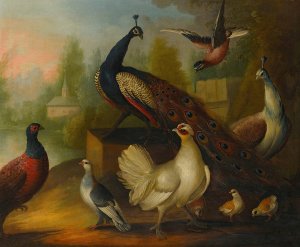Peacocks, chickens and other birds in a river landscape by Marmaduke Cradock Oil Painting