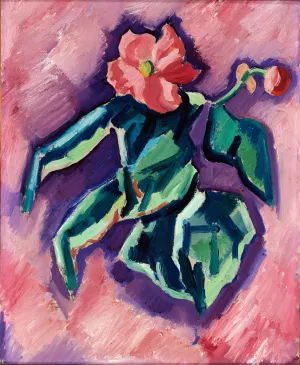 Pink Begonias Oil painting by Marsden Hartley