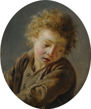 A Study of a Young Boy by Martin Drolling Oil Painting
