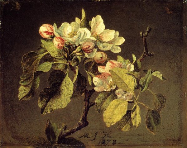 Main Product Photo of A Branch of Apple Blossoms and Buds Painting by Martin Johnson Heade