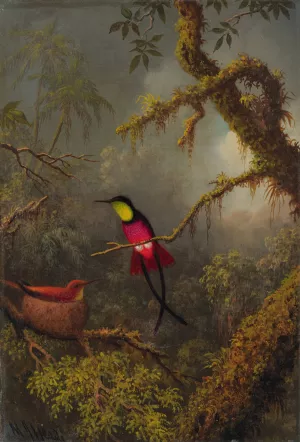 A Pair Of Nesting Crimson Topaz Hummingbirds by Martin Johnson Heade Oil Painting