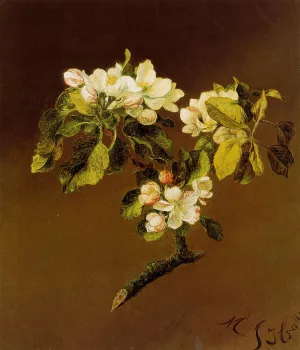 A Spray of Apple Blossoms by Martin Johnson Heade Oil Painting