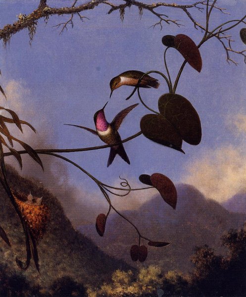 Main Product Photo of Amethyst Woodstar Painting by Martin Johnson Heade