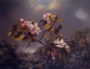 Apple Blossoms and Hummingbird by Martin Johnson Heade - Oil Painting Reproduction