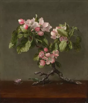 Apple Blossoms by Martin Johnson Heade Oil Painting