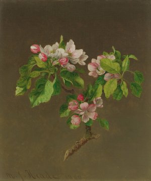 Apple Blossoms by Martin Johnson Heade Oil Painting