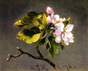 Apple Blossoms Oil painting by Martin Johnson Heade