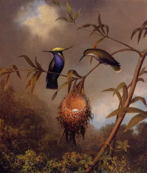 Black-Breasted Plovercrest by Martin Johnson Heade - Oil Painting Reproduction
