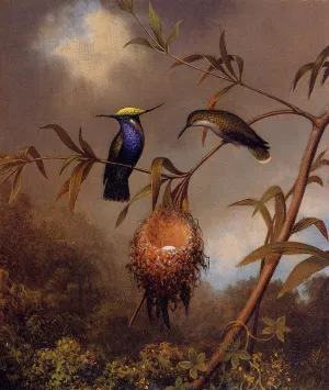 Black-Breasted Plovercrest painting by Martin Johnson Heade