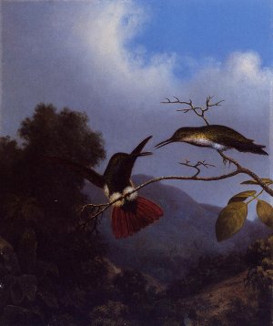 Black-Throated Mango by Martin Johnson Heade Oil Painting