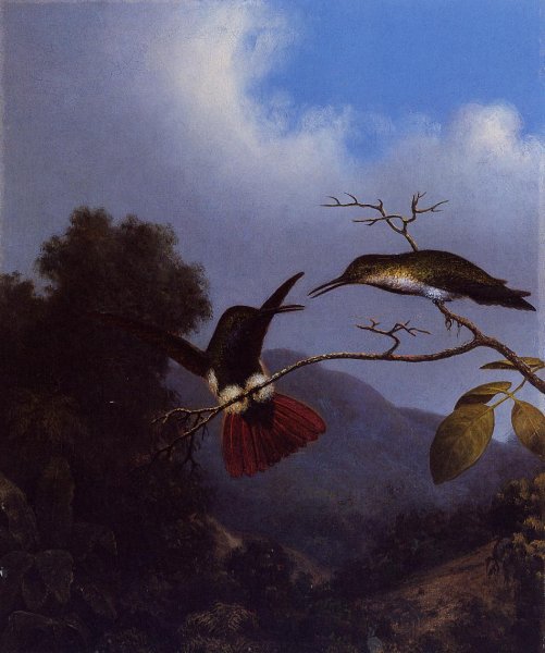 Main Product Photo of Black-Throated Mango Painting by Martin Johnson Heade