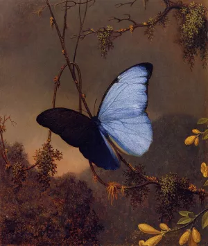 Blue Morpho Butterfly Oil painting by Martin Johnson Heade
